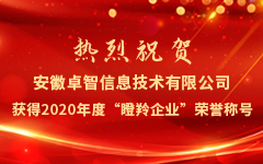 热烈祝贺安徽JJB电竞资讯手段有限公司获得2020年度“瞪羚企业”荣誉称号